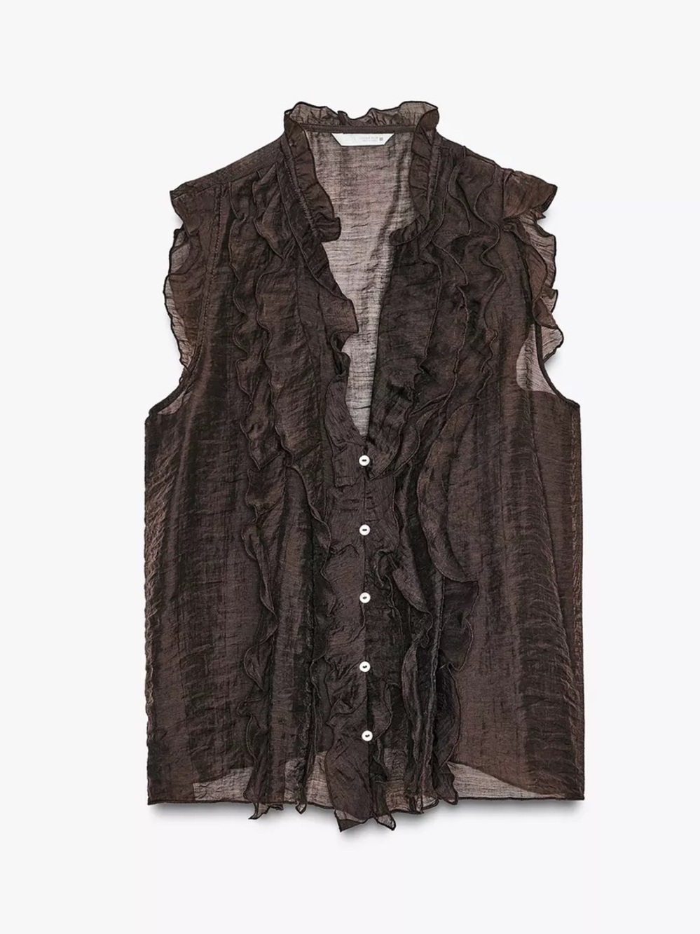 Zara Semi-sheer Ruffle Top in Brown